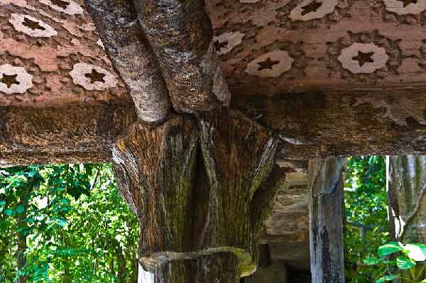 La tropical, detalle del salón de ensueño Salón de ensueño. De- pendencia de La Tropical, donde se pueden establecer paralelismos con el Parque Güell de Barcelona o con Santa Coloma de Cervelló