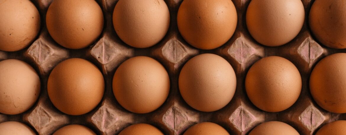 Huevos morenos colocados en un cartón visto desde arriba