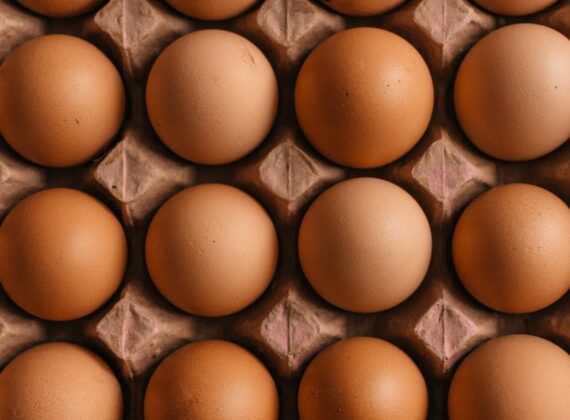 Huevos morenos colocados en un cartón visto desde arriba