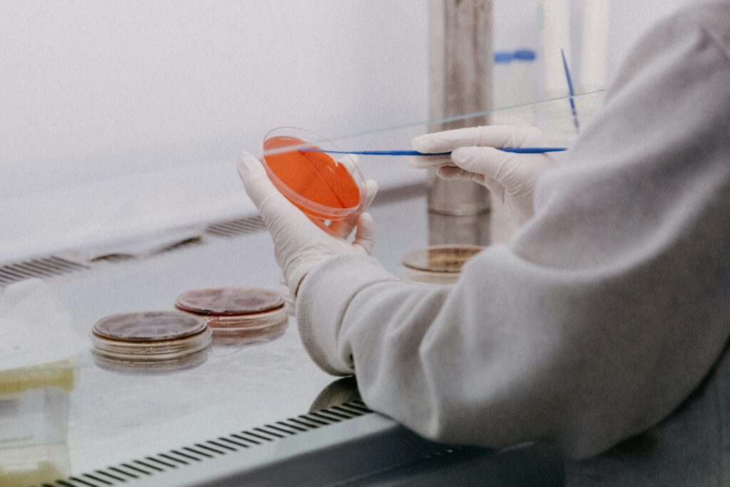 Persona con bata y guantes analizando una placa de Petri en un laboratorio