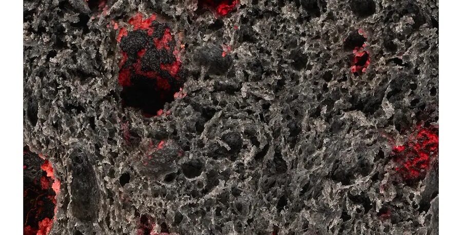 Detalle de la miga negra del panettone Aliento de Dragón, con cavidades y relleno rojo de cereza